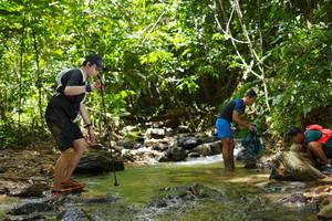 BIB: 
                            <button type="button" onclick="openModal(21842337)" class="btn btn-primary btn-sm float-right btn-popup" data-toggle="modal" data-target=".modal-high-quality">
                        <i class="fas fa-shopping-cart"></i> Add to Cart
                    </button>
                                            <button type="button" onclick="isThisMe(21842337, true)" class="btn btn-success btn-sm float-right btn-popup btn-isme hidden" data-toggle="tooltip" data-placement="bottom" title="นี่คือรูปของคุณใช่ไหม คลิกที่นี่เพื่อเอาเข้าอัลบั้ม">
                        <i class="fas fa-plus"></i> Add to album
                    </button>
                    <button type="button" onclick="isThisMe(21842337, false)" class="btn btn-warning btn-sm float-right btn-popup btn-isnotme hidden">
                        <i class="fas fa-ban"></i> Remove from album
                    </button>